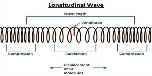 Which of the following illustrates a longitudinal wave?