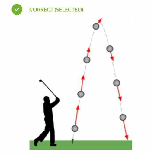A golfer hits a golf ball upwards at an angle. We can ignore air resistance on the ball.

Which diag