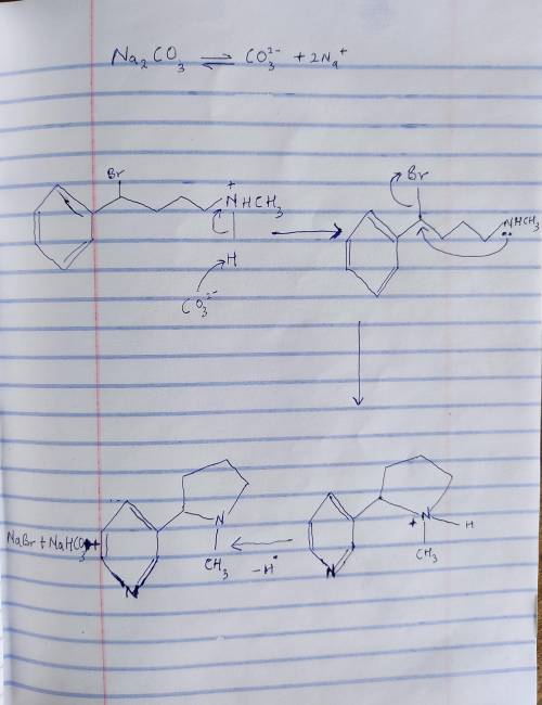 Nicotine can be made when the following ammonium salt is treated with Na2CO3. Draw a stepwise mechan