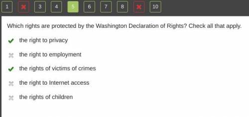 Which rights are protected by the Washington Declaration of Rights? Check all that apply.

the right