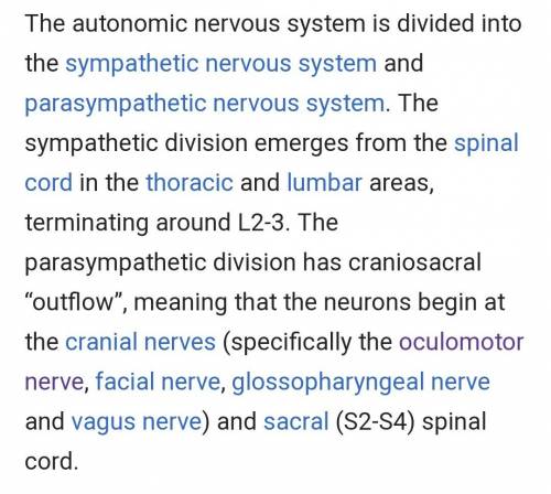 Which is part of the autonomic nervous system?  a. peripheral  b. aphasic  c. central  d. parasympat