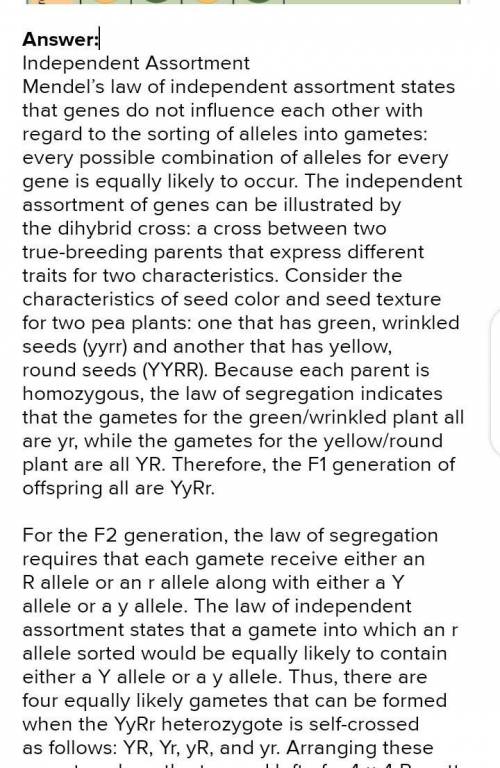 How do Mendel's Laws relate to genetics and probability?