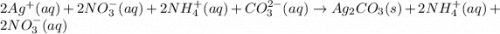2Ag^+(aq)+2NO_3^-(aq)+2NH_4^+(aq)+CO_3^{2-}(aq)\rightarrow Ag_2CO_3(s)+2NH_4^+(aq)+2NO_3^-(aq)
