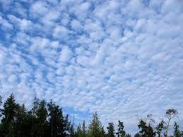 (GIVING BRAINLIEST!!)

Two types of clouds and described below.Cloud 1: Long columns that stretch hi