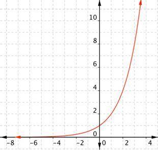What does an exponential function graph look like