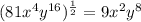 (81x^4y^{16})^{\frac{1}{2}} = 9 x^2 y^8
