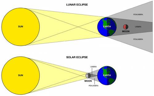 Brainliesttt  -explain what causes eclipses and how often they occur -compare the two types of eclip