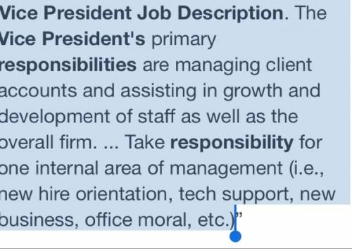 What is a vice president job description