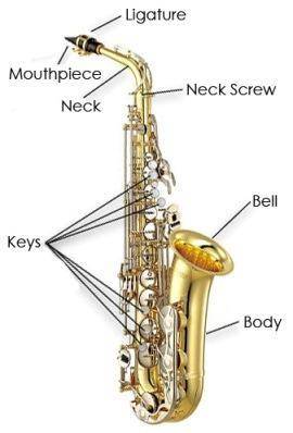 What part of the saxophone connects to the body?
i need the answer, my thing is due today