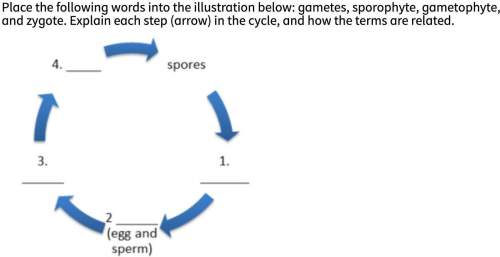 Place the following words into the illustration below: gametes, sporophyte, gametophyte, and zygote
