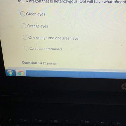 The allele for orange eyes (o) is dominant and the allele for green eyes is recessive (o). a d