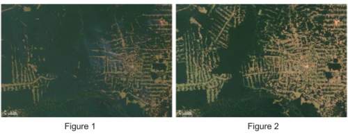 These images were taken from a satellite above western brazil. figure 1 shows a brazilian forest in