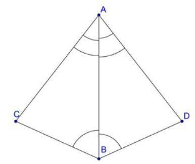 Which of the following statements is true about the triangles below?  a. abc ≅ abd by ss