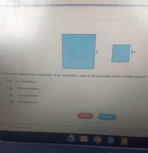 What is the perimeter of the smaller square