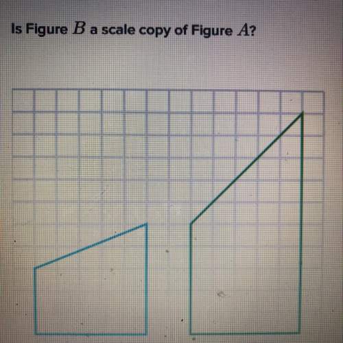 Is figure b a scale copy of figure a