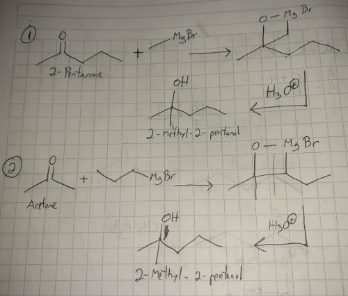 2-Methyl-2-pentanol can be made starting from two different ketone electrophiles using two different