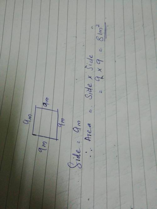 Find area of the square with side length 9m