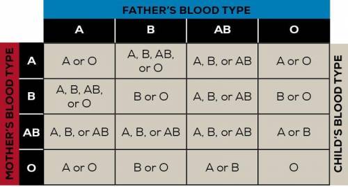 Madeleine and jared have a child together. Madeleine has type A blood, Jared has type B blood and th