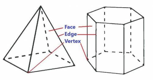 Verify Euler's formula for
(a) Tetrahedron
(b) Hexagonal prism