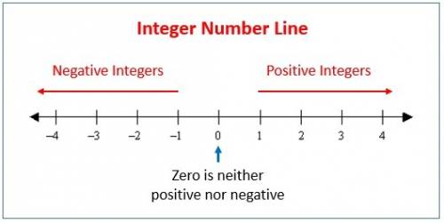 Explain how you can plot positive and negative numbers on number line.