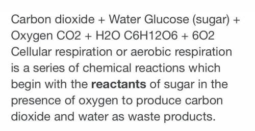 3. carbon dioxide + water→ glucose + oxygen.. what is the balance chemical equation?​