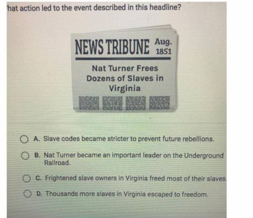 What action led to the event described in this

headline?
NEWS TRIBUNE 18$
Nat Turner Frees
Dozens o