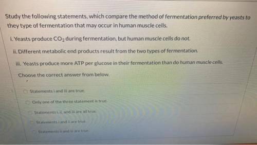 Study the following statements, which compare the method of fermentation preferred by yeasts to they