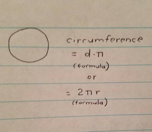 Describe the relationship between the circumference and the diameter of a circle.a. pi times half th