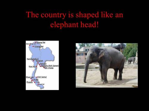 What country is shaped like an elephants head