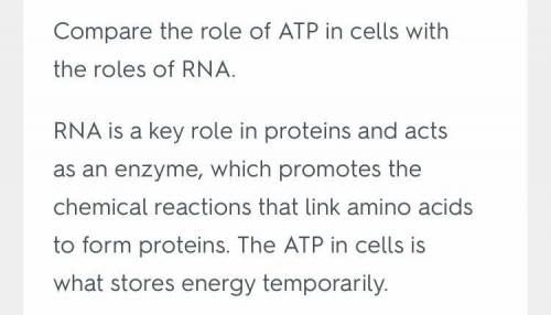 Compare the role of atp in cells with the roles of rna