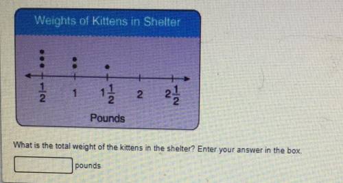 Sam volunteers at an animal shelter. He created a line plot to show the weights in pounds of the kit