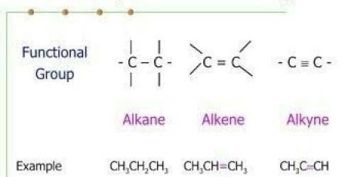 An organic compound that contains only carbon and hydrogen and a triple bond (all the other bonds ar