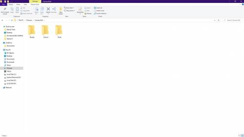 . Attach 2 screen shots of a Windows screen, showing menus, toolbars, Windows, Folders, sub- folders