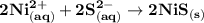 \mathbf{2Ni^{2+}_{(aq)}+2S^{2-}_{(aq)} \to 2NiS_{(s)}}