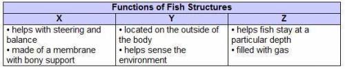 Cheng made a chart to list the functions of certain fish structures

which headings correctly comple