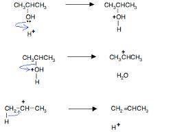 Consider the dehydration of 2-propanol in sulfuric acid: There is a scheme of a reaction where CH3 C