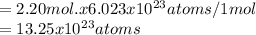 =2.20 mol. x 6.023 x 10^2^3 atoms /1 mol\\=13.25x10^2^3 atoms