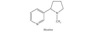 Nicotine is a toxic substance present in tobacco leaves. There are two lone pairs in the structure o