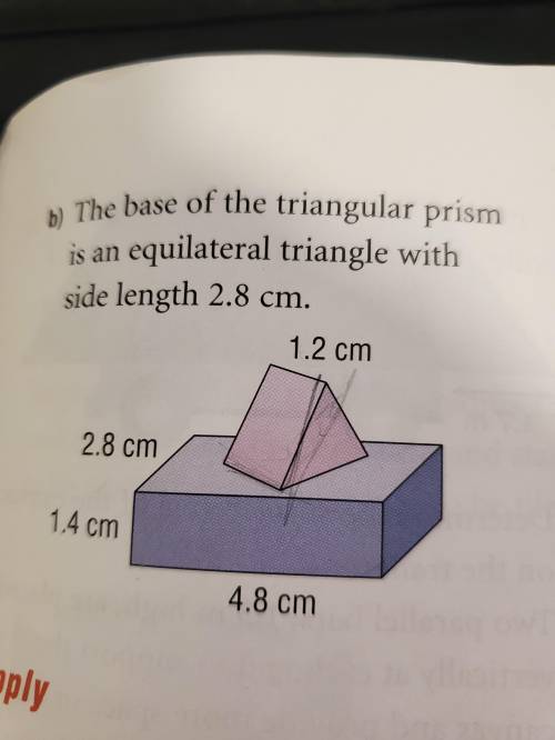 What's the surface area?