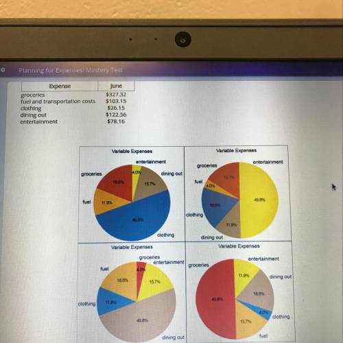 Select the pie chart that accurately represents Sabrina's variable expenses for the month of June. S