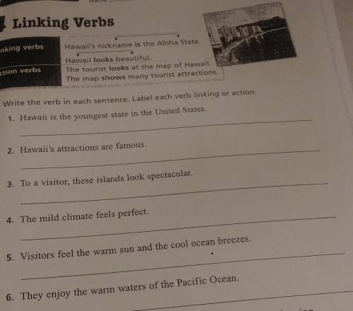 Write the verb in each sentence label into verb linking or action PLEASE HELP THANK YOU!CLICK TO SEE