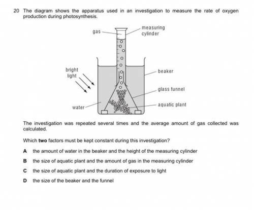 Help me finish this test .^◡^.