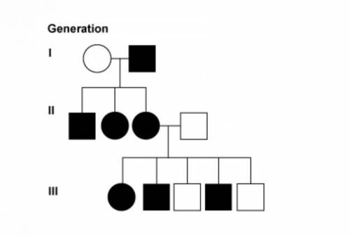 Help fast plz Refer to the family pedigree shown here. In generation |, one parent is affected by th