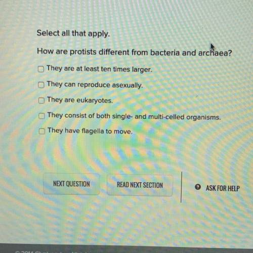 How are protists different from bacteria and archaea
