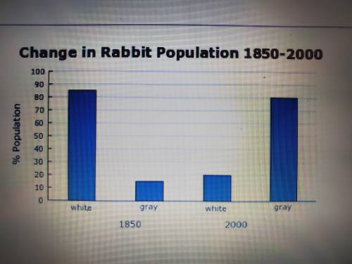In northern Canada, a population of rabbits was predominantly white in color. The allele for white c