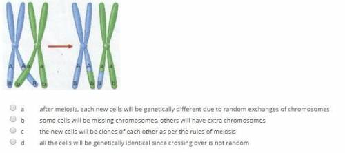 The pairing of chromosomes and the exchange of DNA between chromosomes is called crossing over, the