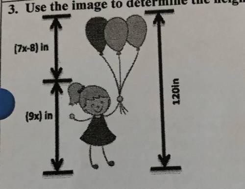 Use the image to determine the height of the girl.