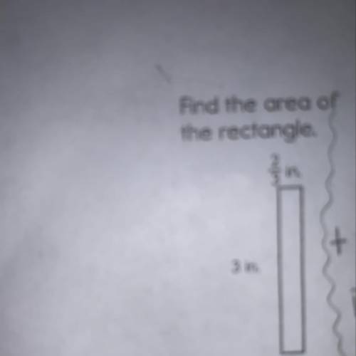 Find the area of the rectangle 2/3in 3 in