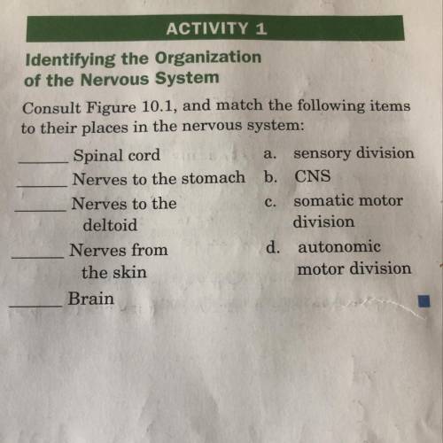Match the following items to their places in the nervous system