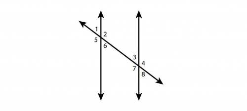 The diagram below shows two parallel lines intersected by a transversal. Tell whether each sentences